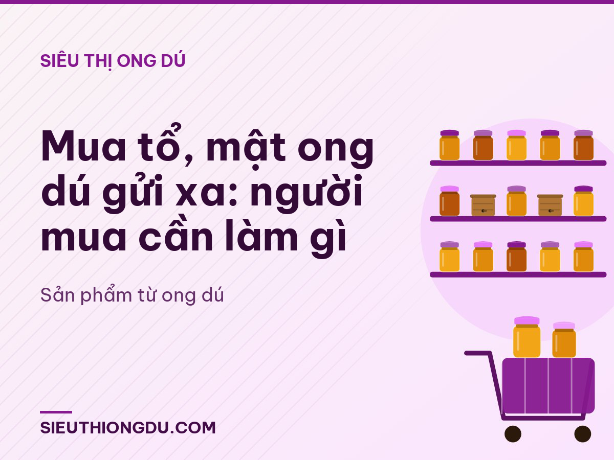 Mua tổ, mật ong dú gửi xa: người mua cần làm gì