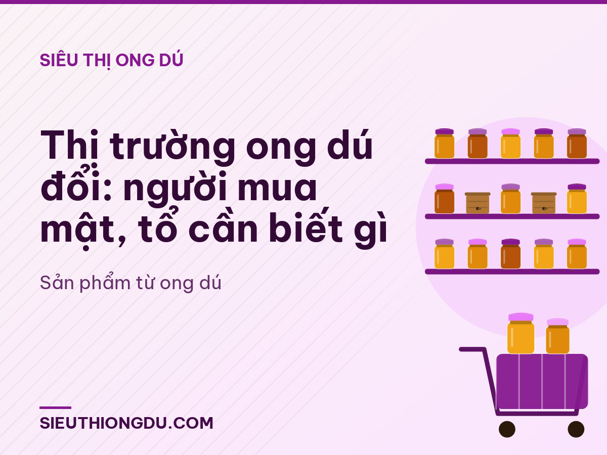 Thị trường ong dú đổi: người mua mật, tổ cần biết gì